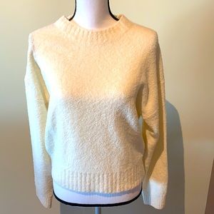 Everlane crewneck wool/poly sweater